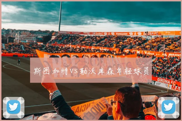 斯图加特vs勒沃库森年轻球员