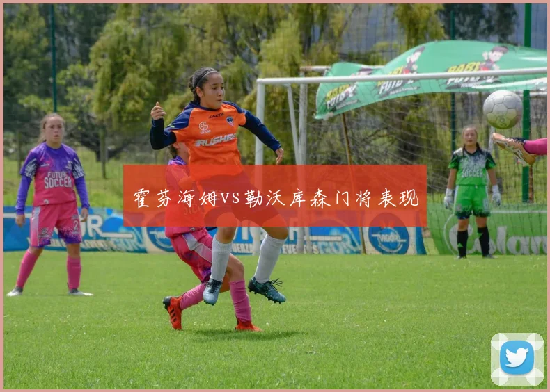 霍芬海姆vs勒沃库森门将表现
