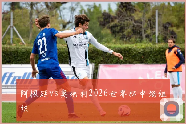 阿根廷vs奥地利2026世界杯中场组织