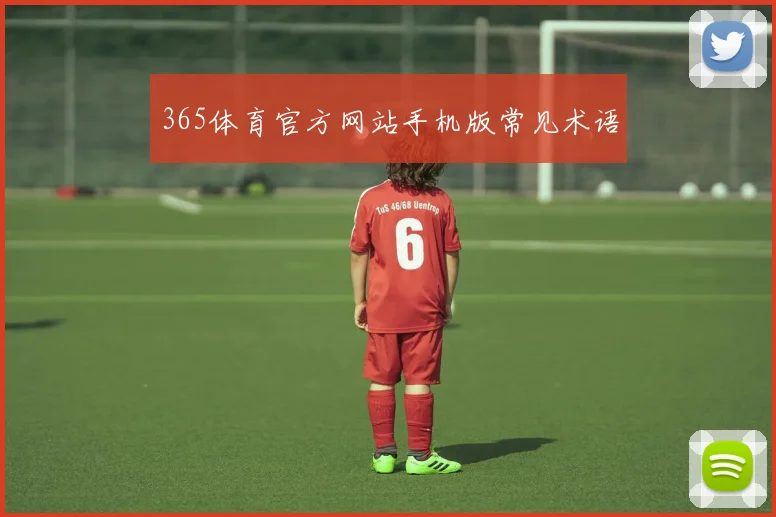 365体育官方网站手机版常见术语