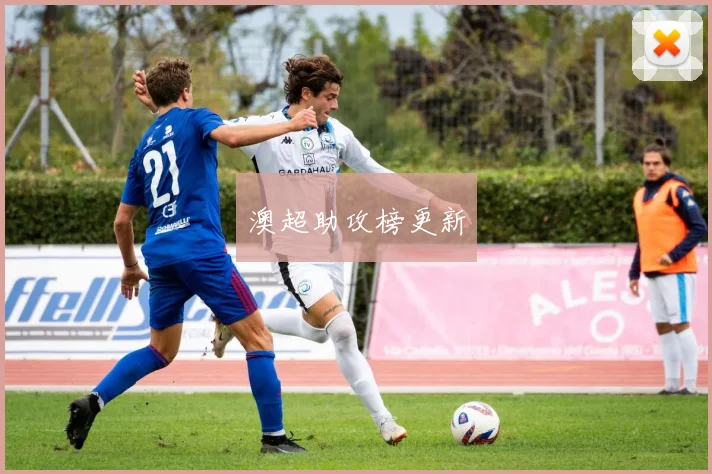 澳超助攻榜更新