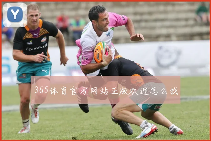 365体育官方网站正版欢迎怎么找